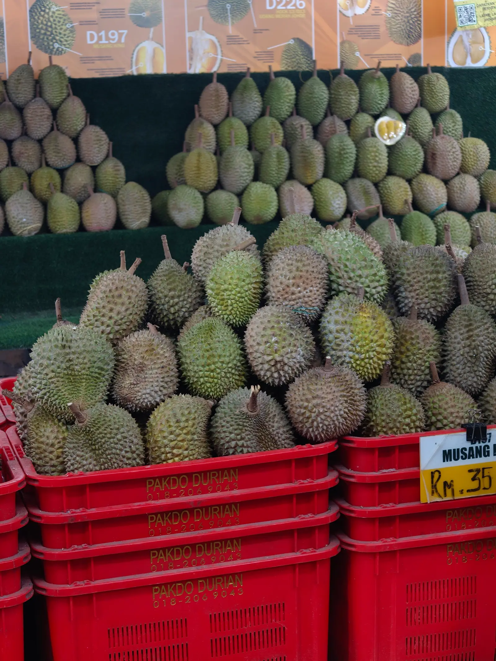 Durian Bonaza — frame 1