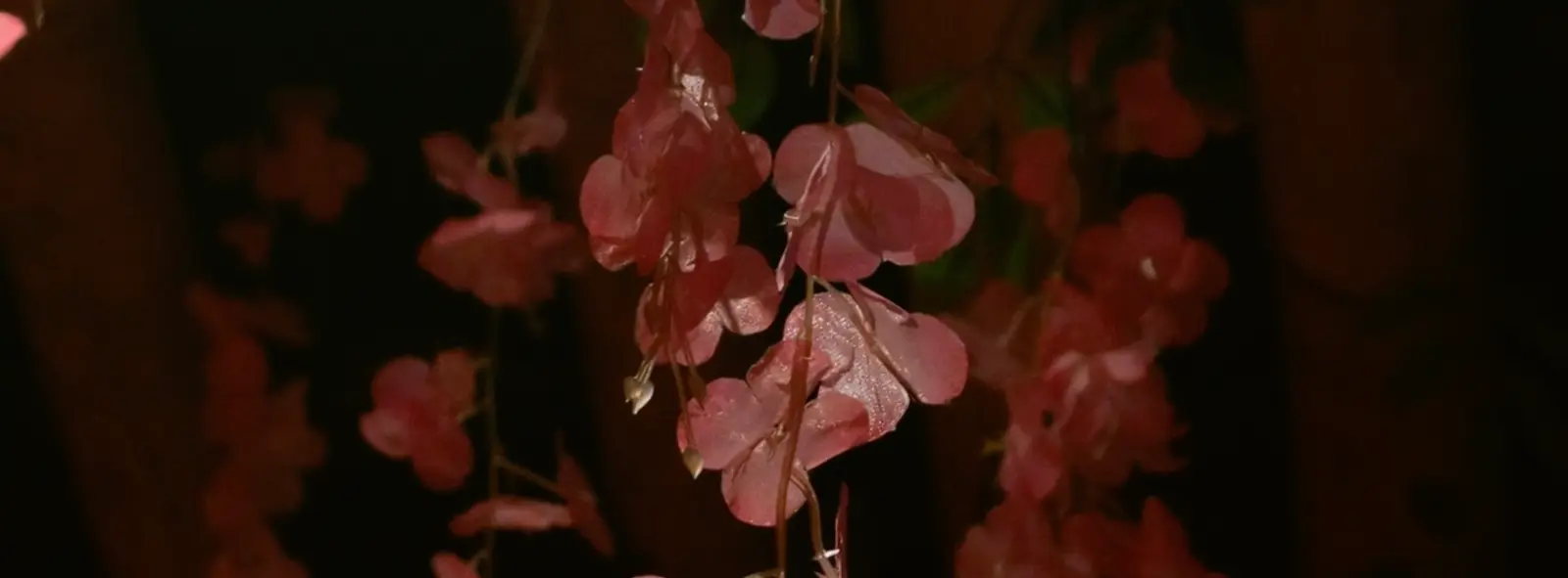 Yaki Sould The Sequel — frame 5